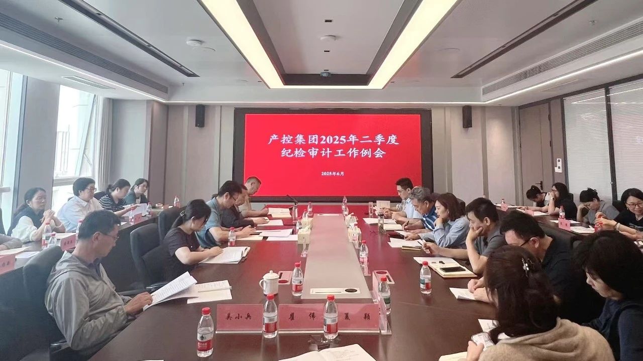 產(chǎn)控集團(tuán)組織召開(kāi)2025年二季度紀(jì)檢、審計(jì)工作例會(huì)